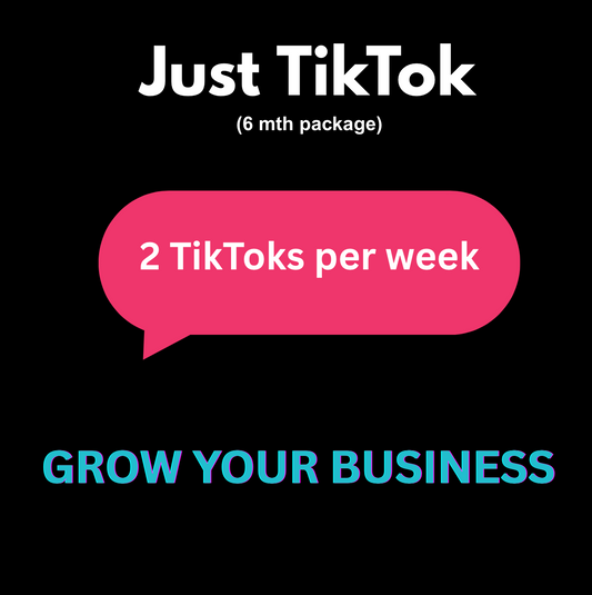 Just TikTok (6 mth package)
