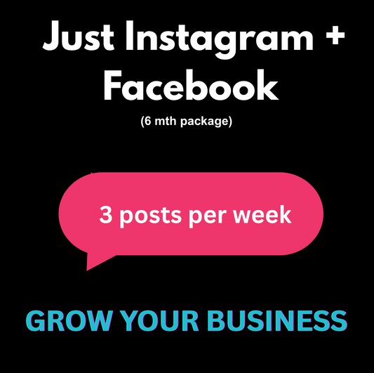 Just Instagram and Facebook (6 mth package)